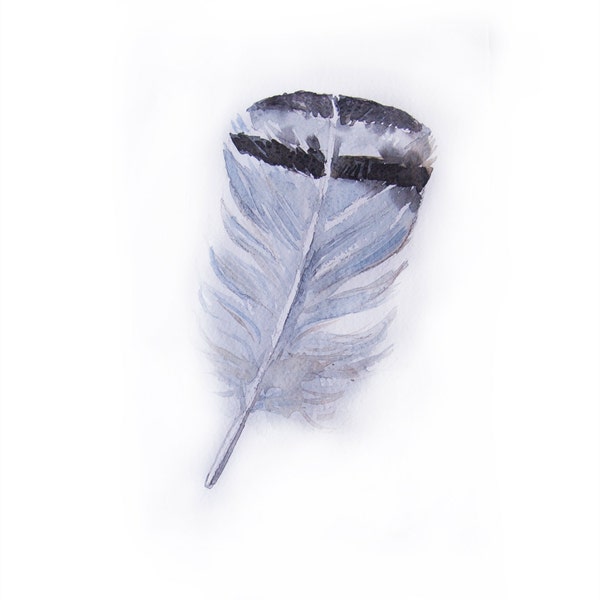 Dove grey feather watercolor painting-Art original-Feather watercolor 7.5/11 inch