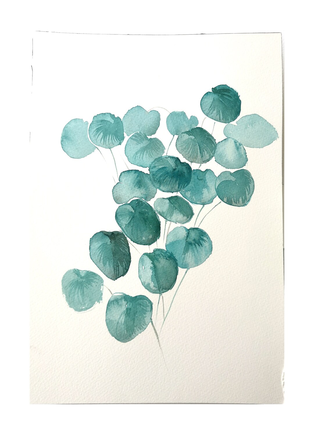 Pilea Watercolor Painting | Chinese Money Plant Art (9x12) - Etsy