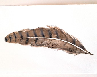 Aquarel schilderij van een veer, illustratie van een bruine veer, minimalistische muurdecoratie