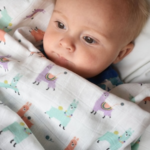 Llamas organic cotton swaddle burp rag