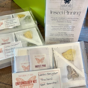 Insect Pinning Kits
