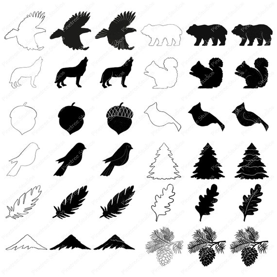 Procreate Nature Set 1 Stamps Brushset Designed For Ipad Etsy