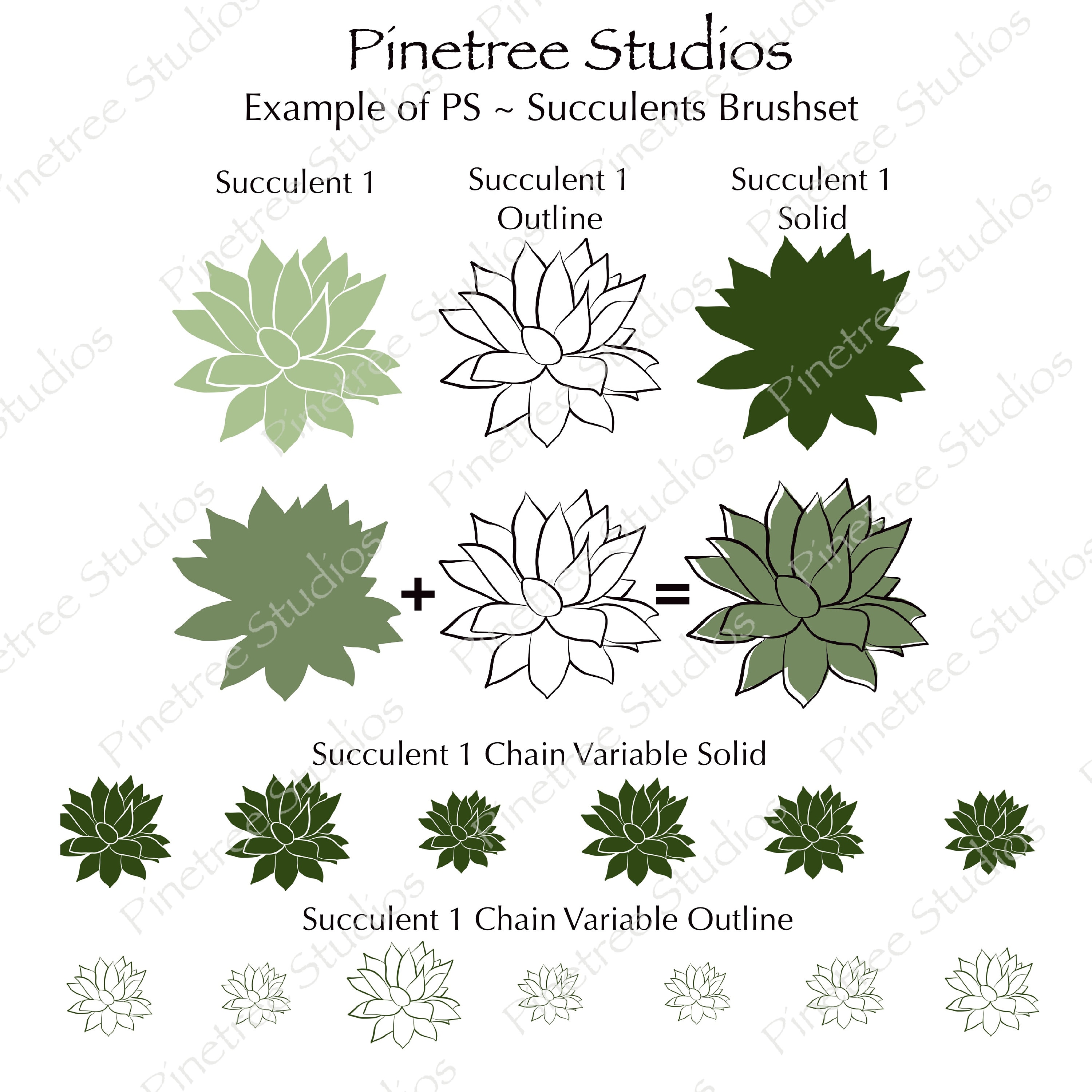 Succulent Brushes "stamps" (.brushset) Designed for iPad and Procreate ...