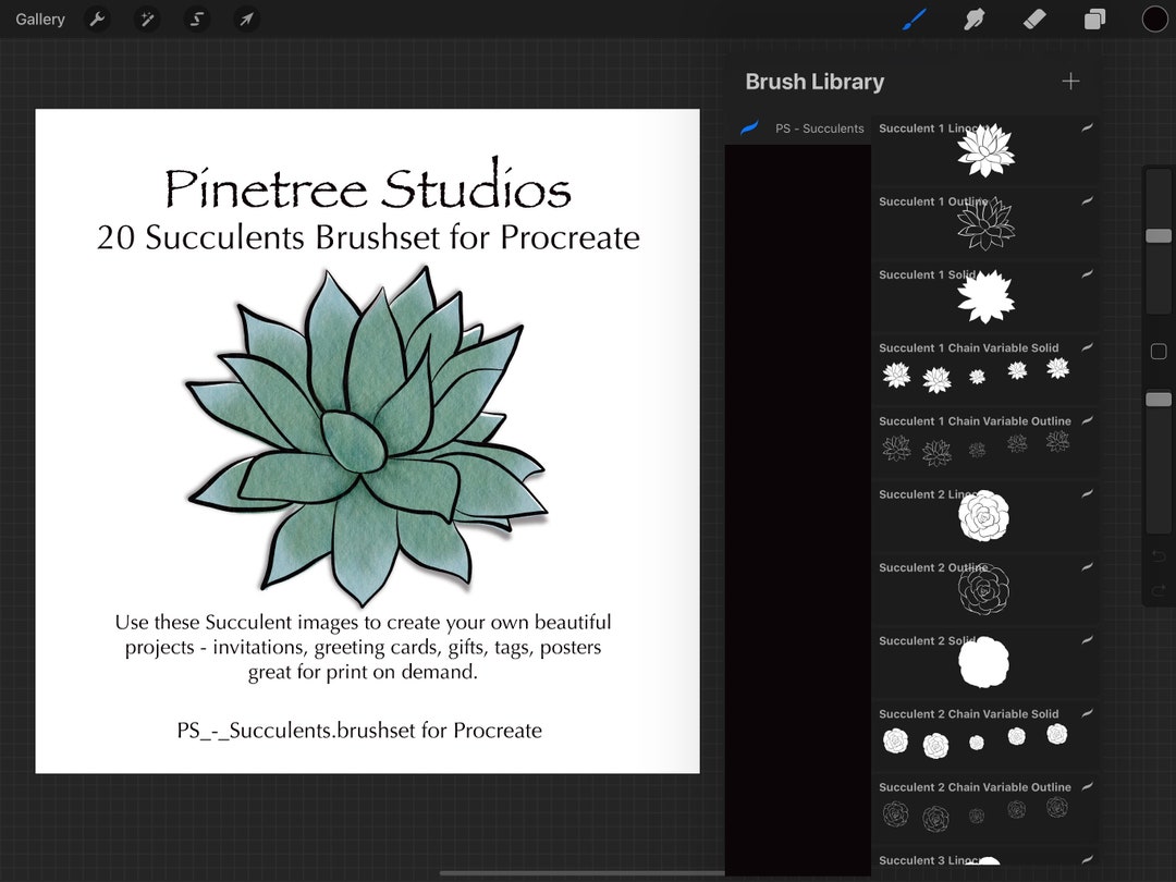Succulent Brushes "stamps" (.brushset) Designed for iPad and Procreate ...