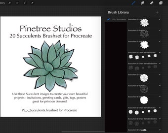 Succulent Brushes "Stamps" (.brushset) Designed for iPad and Procreate/ Digital Download / Layered Element /Background /Digital Paper