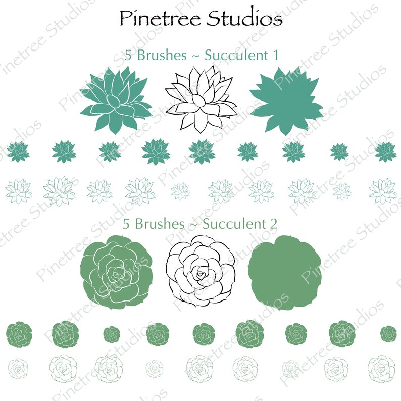 Succulent Brushes "stamps" (.brushset) Designed for iPad and Procreate ...