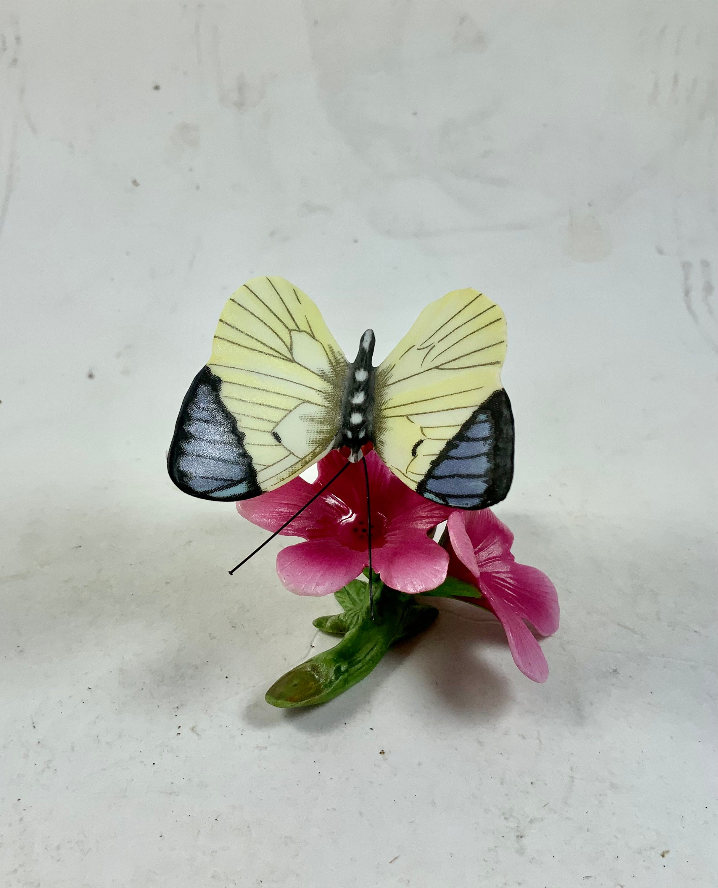 Vintage FRANKLIN MINT BUTTERFLY W/flower, Butterfly of the World