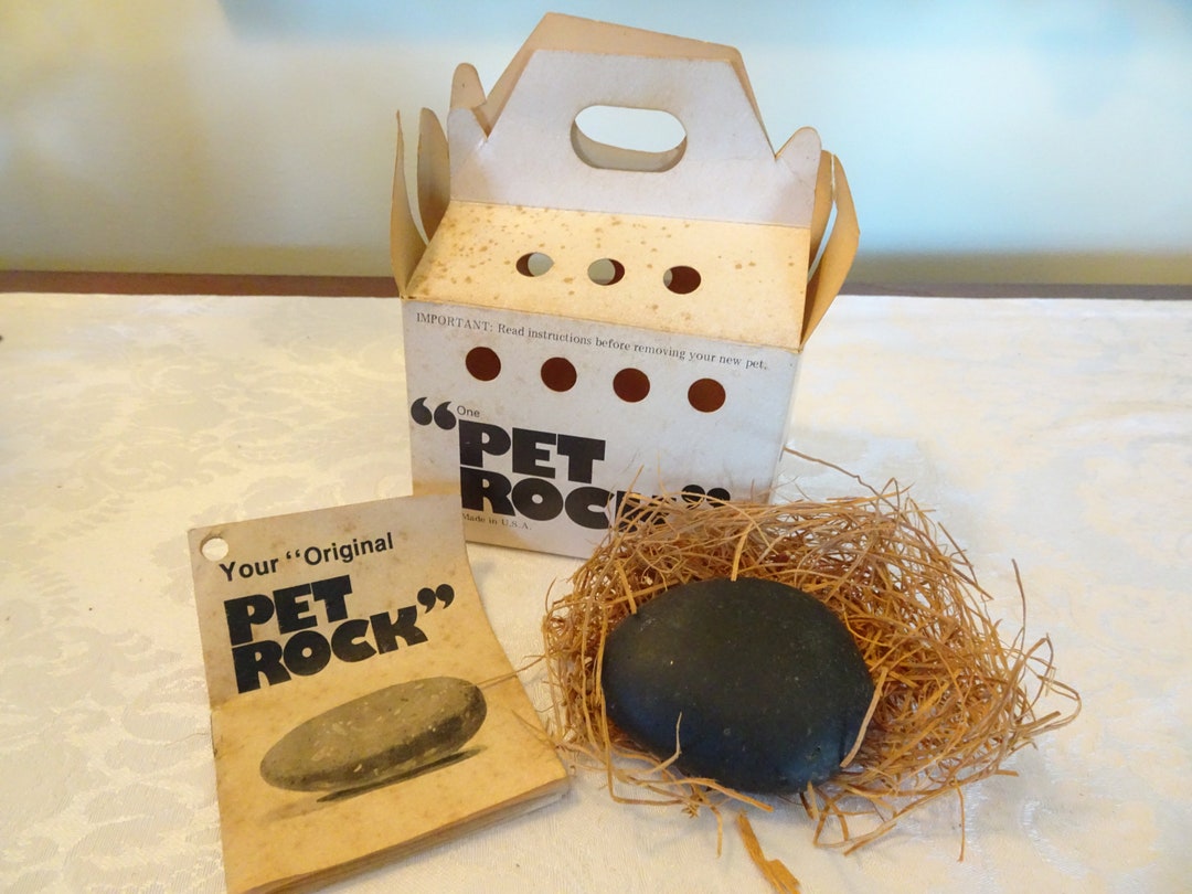 Vintage the Original Pet Rock in Box With Paperwork and Etsy