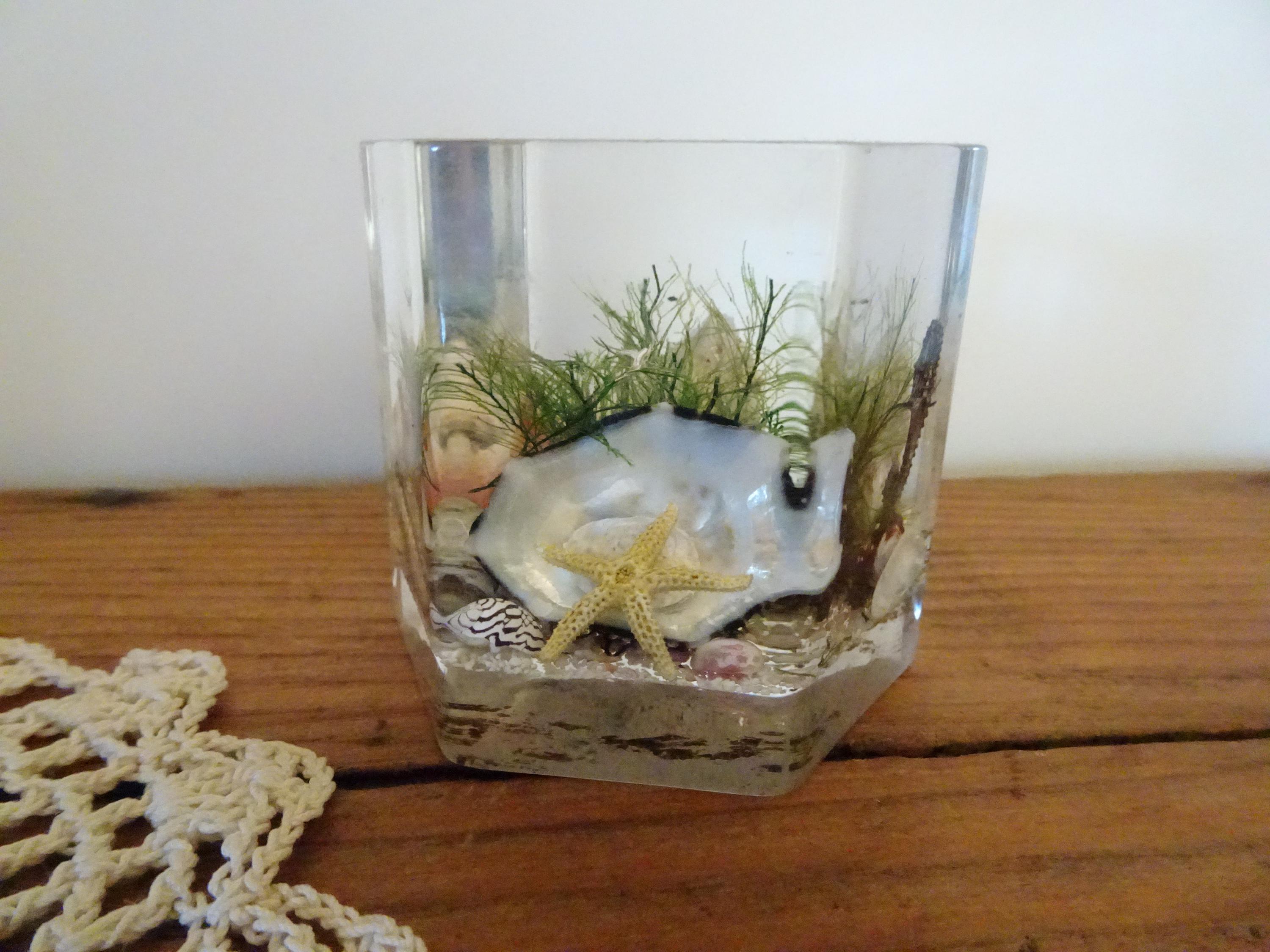 Cute, Vintage, Clearfloat, Lucite, Ocean Paperweight- Real Shells, Starfish, Seahorse- Under the Sea- MCM- Hexagon Shaped- Clear