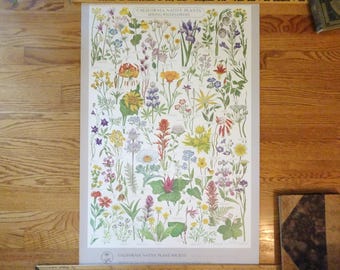 Vintage, California Native Plants Poster- Gompers Saijo- California Native Plants Society- 1979- Flowers