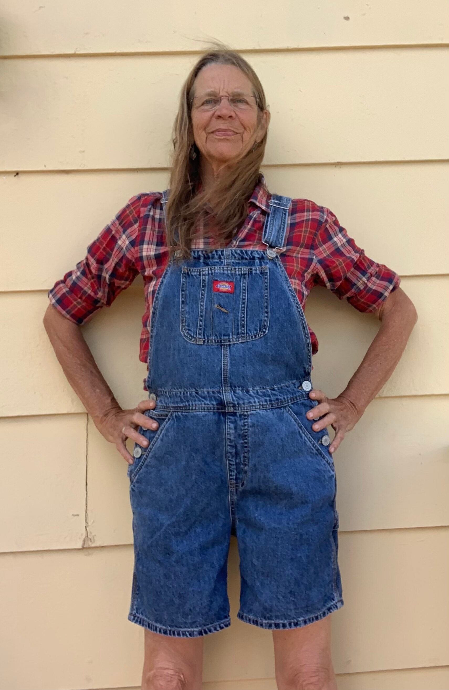 Dickies denim store overall dress