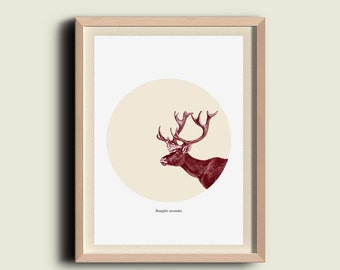 Caribou Print / Digital Print / Wall Poster Home Decor /  Reindeer Rangifer tarandus / Wall art / Red Burgundy