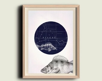 Fische Konstellation, Fische Kunst, Fische Poster