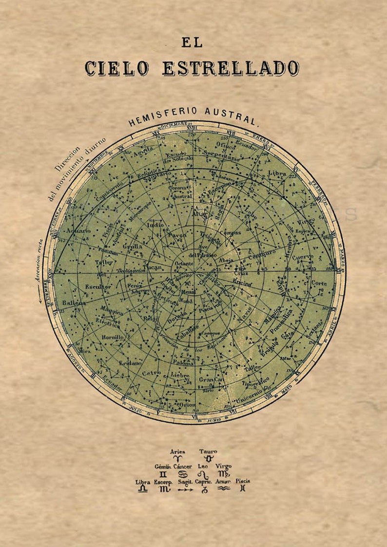 Celestial Chart Stars Southern Hemisphere Constellations Print Vintage Image image 2