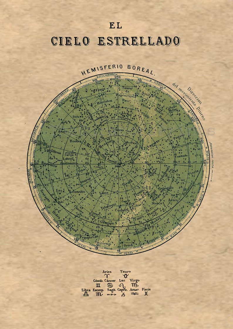 Celestial Chart Stars Northern Hemisphere Constellations Print Vintage Image image 2