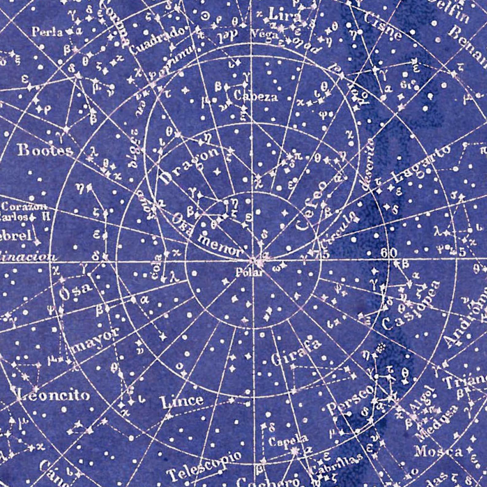 Constellation Chart Poster