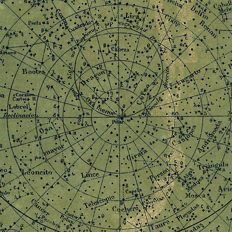 Celestial Chart Stars Northern Hemisphere Constellations Print Vintage Image image 4