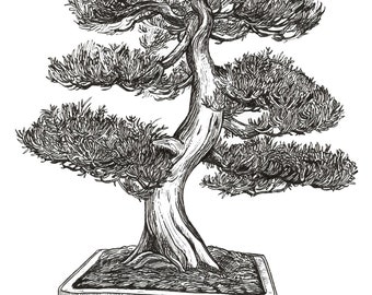 Bonsai Tree Drawing Nature Artwork for Home Decor 8.5x11 Print