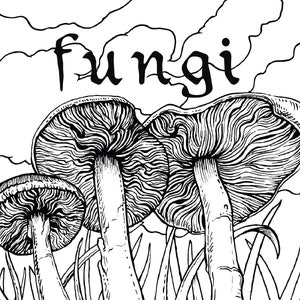 Fungi Coloring Book Mushroom Coloring Book Mindfulness Meditation Gift for Nature Lovers