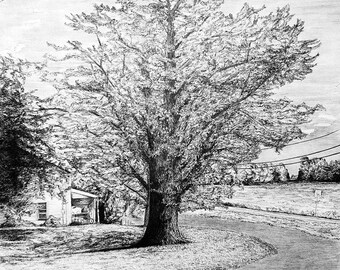 The Repko Tree, 8.5x11 print