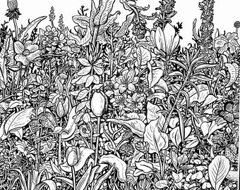 Flora (No. 2) 11x14 print