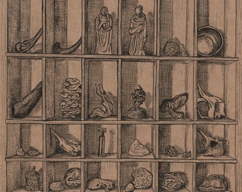 Cabinet of Curiosities, print