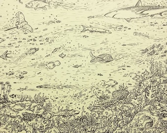Sea Life Drawing Ocean Artwork for Home or Office 8.5x11 print