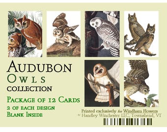 John James Audubon Owls Card Set: 12 Vintage-Style Note Cards (A2 Size)