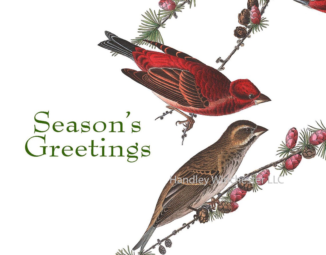 Audubon Holiday Card Set A2 12 Cards two each of 6 styles w/ Etsy
