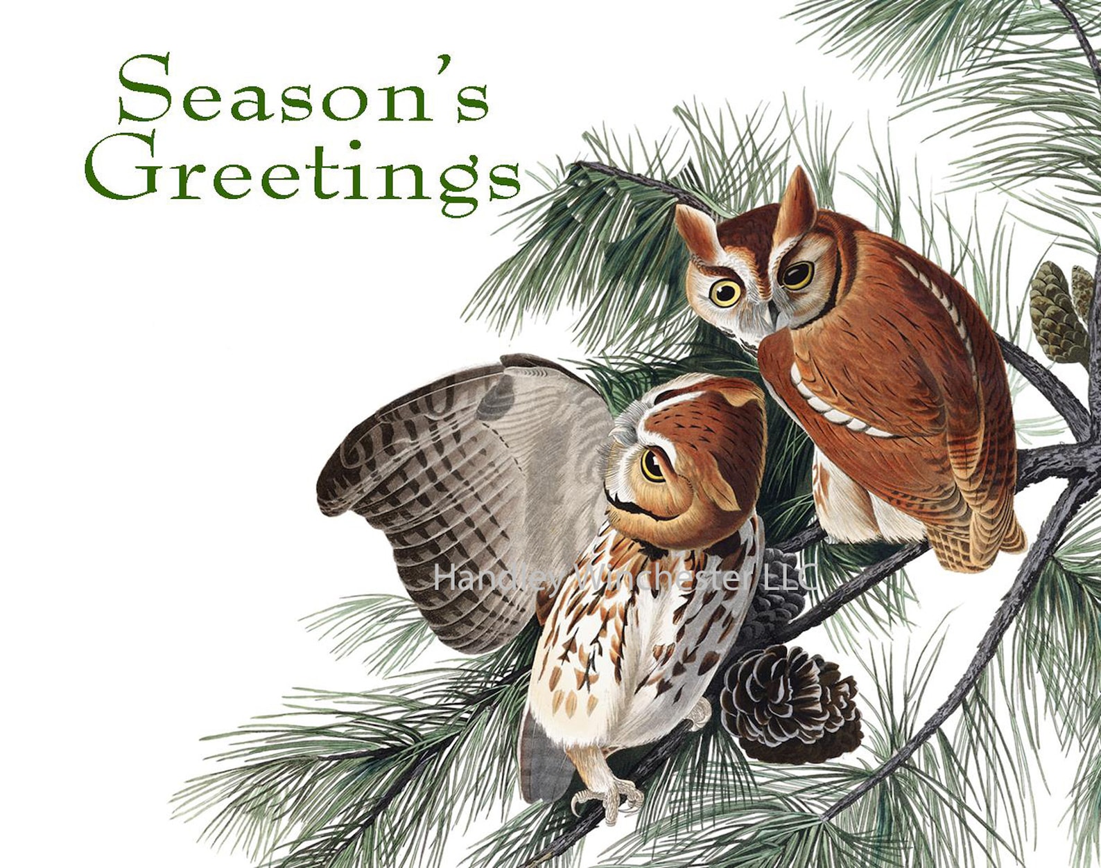 Audubon Holiday Card Set A2 12 Cards two each of 6 styles w/ Etsy
