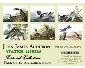 John James Audubon Water Birds Postcards: 12 Vintage Art Prints