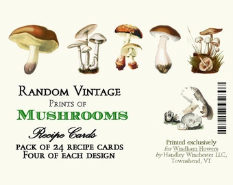 Mushroom Recipe Cards: Vintage Botanical Prints, Set of 24