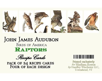John James Audubon Raptor Recipe Cards: 4x6 Vintage Bird Prints, Set of 24