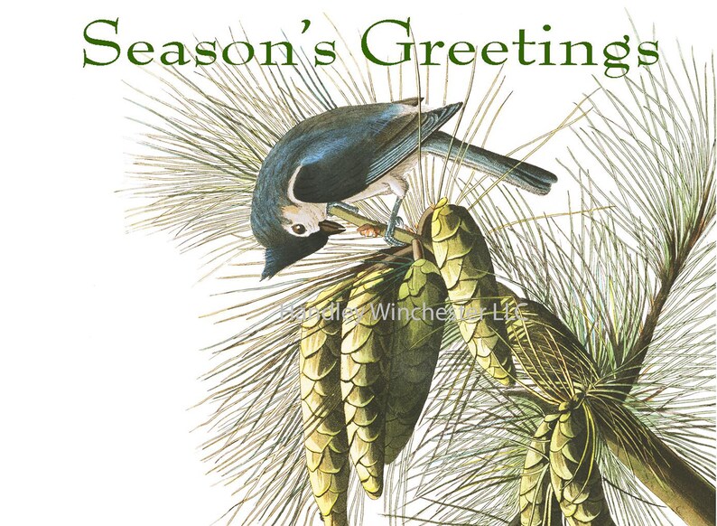 Audubon Holiday Card Set A2 12 Cards two each of 6 styles w/ Etsy