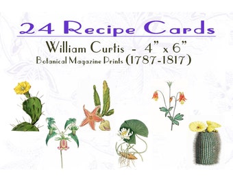 Botanical Recipe Cards: William Curtis Vintage Floral Prints (Set of 24)