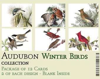 John James Audubon WINTER BIRDS Card Set A2 12 Cards (two each of 6 styles) w/ High Quality Paper & Envelopes 5.5" x 4" note cards