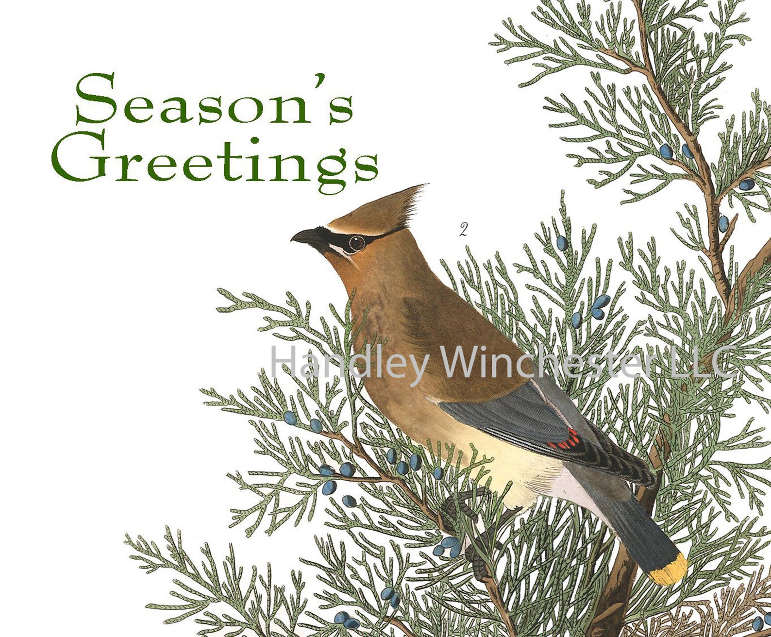 Audubon Holiday Card Set A2 12 Cards two each of 6 styles w/ Etsy