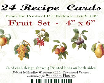 Vintage Fruit Recipe Cards: Botanical Prints Set (4"x6")