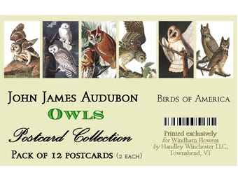 John James Audubon Owls Postcards: Birds of America, Set of 12, Six Designs