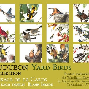 John James Audubon Yard Bird Card Set A2 12 Card Assortment High Quality Paper & Envelopes Cardinal Goldfinch Nuthatch Indigo Barn Swallow