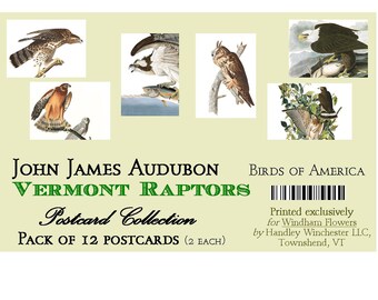 John James Audubon Raptor Postcards: Vermont Birds of America, Set of 12, Six Designs