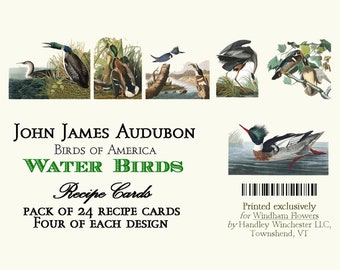 John James Audubon Water Birds Recipe Cards: 4x6 Vintage Art, Set of 24