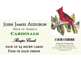 John James Audubon Cardinal Recipe Cards: 4" x 6" Set of 24