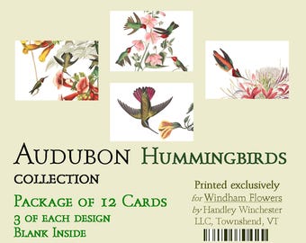 John James Audubon Hummingbird Card Set: 12 Note Cards with Envelopes