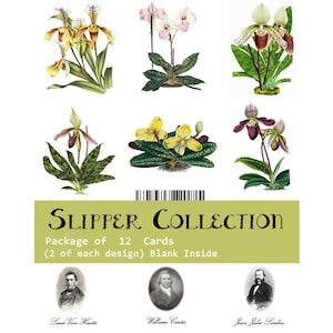 May include: A set of 12 blank cards featuring illustrations of different types of orchids. The cards are part of a "SLIPPER COLLECTION" and include the text "Package of 12 Cards (2 of each design) Blank Inside".