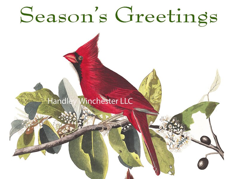 Audubon Holiday Card Set A2 12 Cards two each of 6 styles w/ Etsy