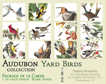 John James Audubon Bird Card Set: 12 Ivory Note Cards with Envelopes