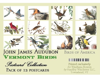 John James Audubon Vermont Bird Postcards - Set of 12