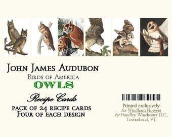 John James Audubon Owl Recipe Cards: Vintage Bird Art, Set of 24