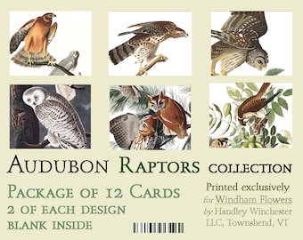 John James Audubon Raptors Note Card Set, Vintage Bird Art, 12 Ivory Cards